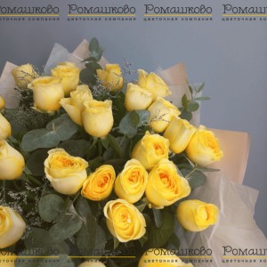 Превью Акция Роза Кремовая (Кения) 31 шт. (50см)