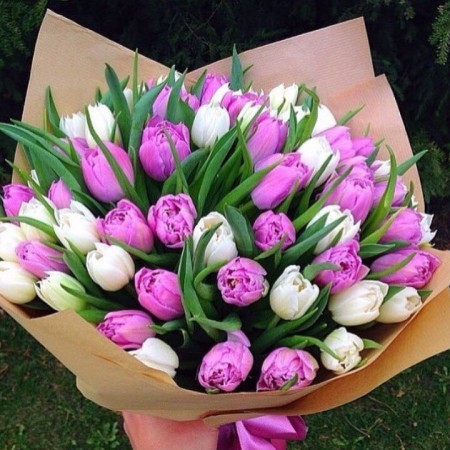 Букет из 49 бело-розовых тюльпанов за 9 270 - «Ромашково» в Красноярске