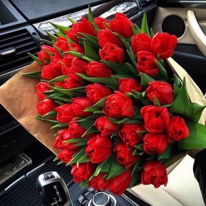 Превью Букет из 49 красных тюльпанов