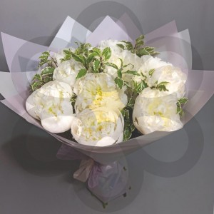Превью Букет из 11 белых пионов
