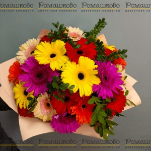 Превью Букет из 23 разноцветных гербер