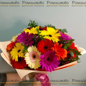 Превью Букет из 23 разноцветных гербер