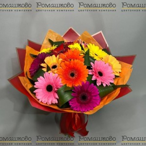 Превью Букет из 15 гербер в упаковке