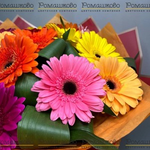 Превью Букет из 15 гербер в упаковке