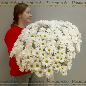 Превью 35 белой кустовой хризантемы