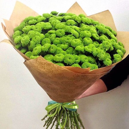 Букет из 15 зеленых кустовых хризантем