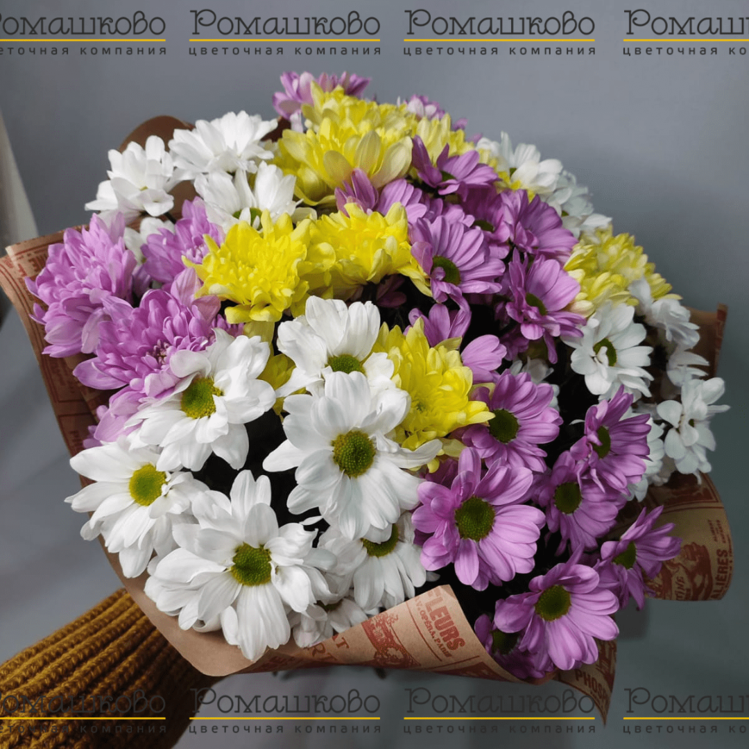 Букет из 15 разноцветных кустовых хризантем