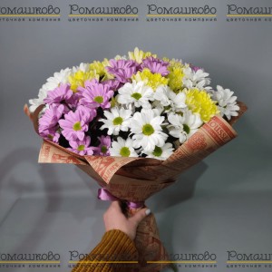 Превью Букет из 15 разноцветных кустовых хризантем