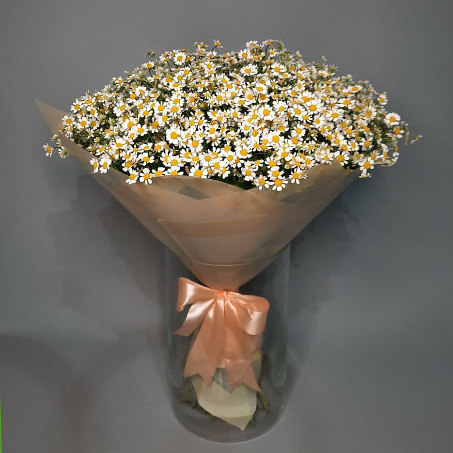 Букет из 51 веточки ромашек Камилла