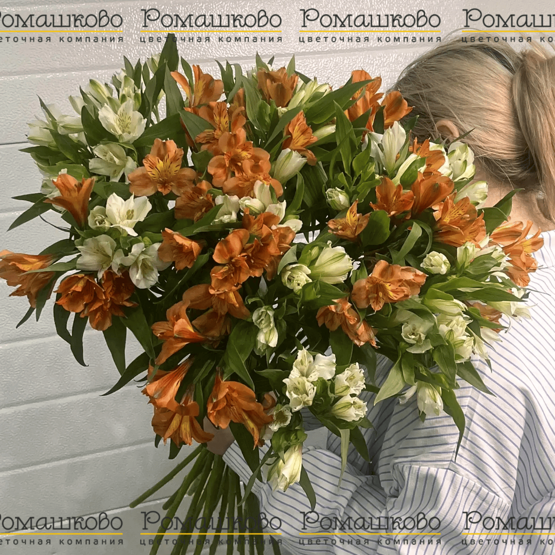 Букет из 25 альстромерий