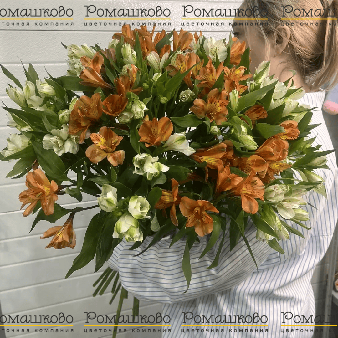 Букет из 25 альстромерий