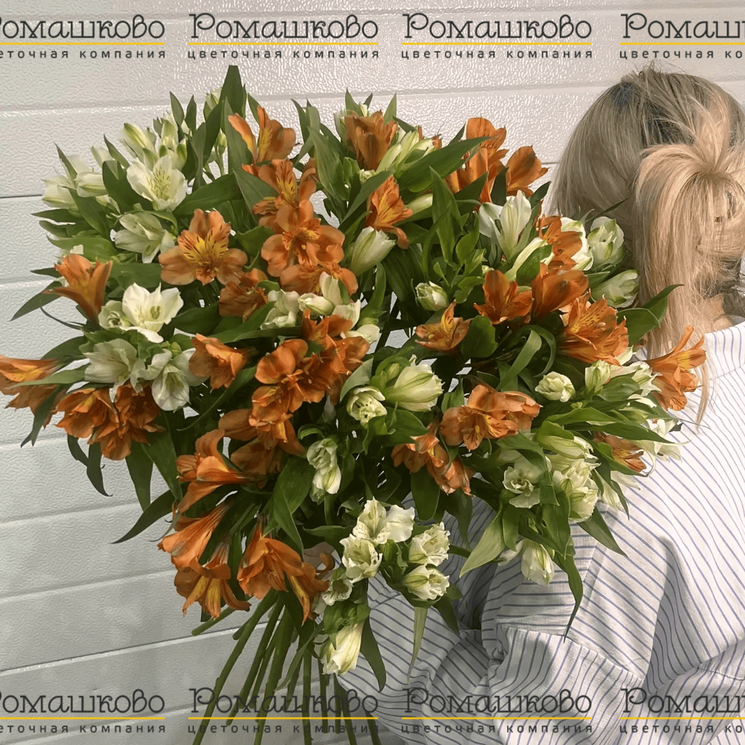 Букет из 25 альстромерий