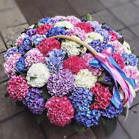 Корзина с цветами «Гортензии в корзине» за 45 000 - «Ромашково» в Красноярске