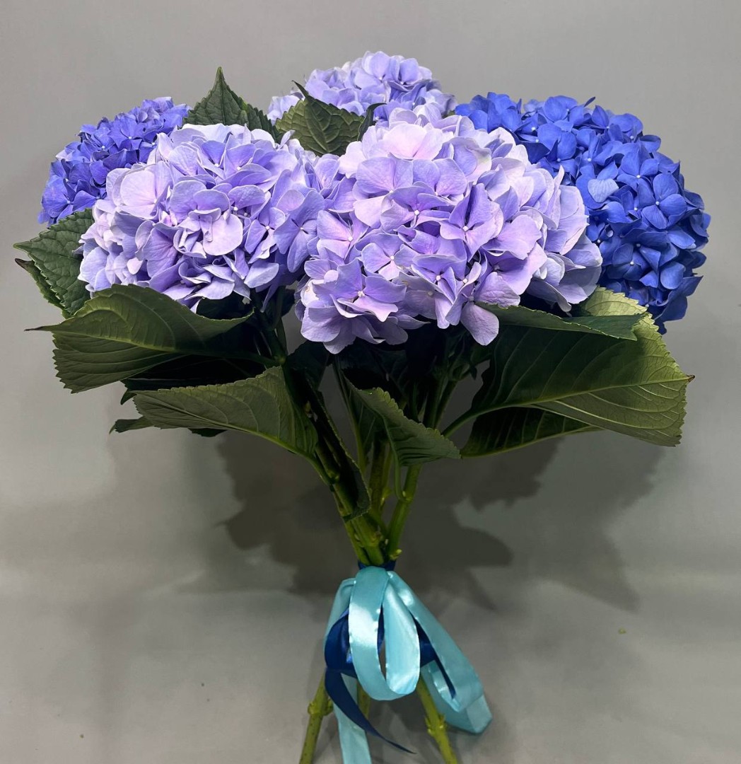 Букет из 5 светло-синих гортензий