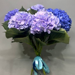 Превью Букет из 5 светло-синих гортензий