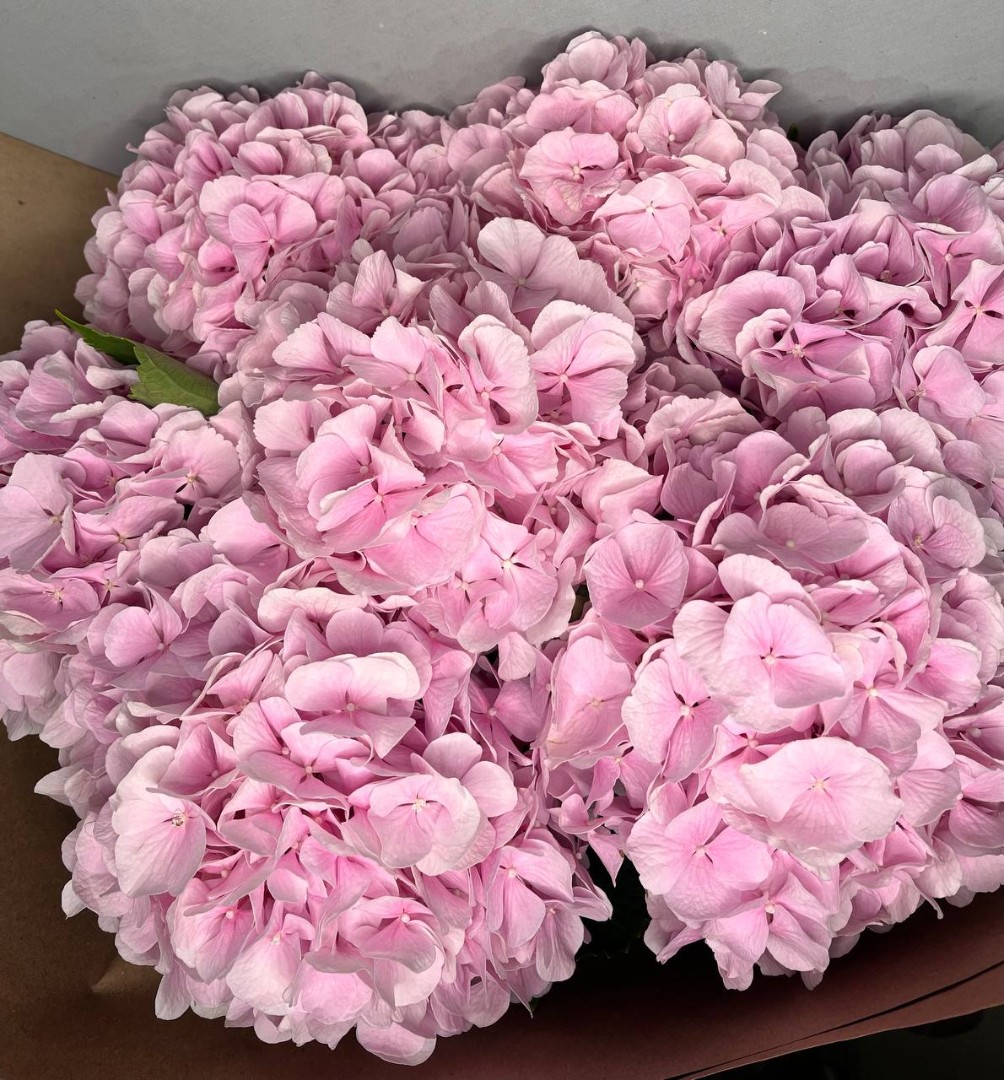 Букет из 7 милых гортензий