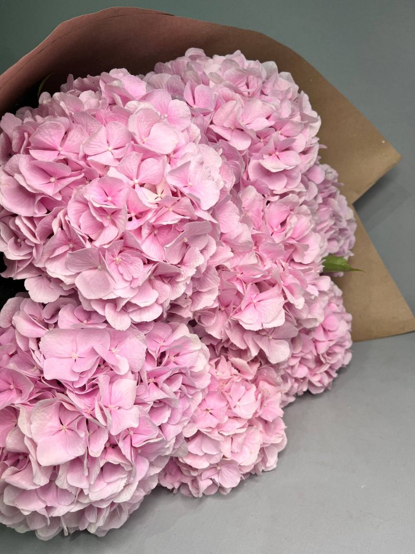 Букет из 7 милых гортензий