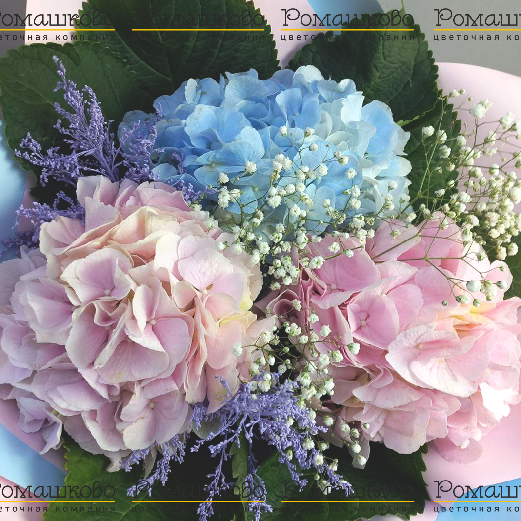 Букет из 3 гортензий