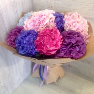 Превью Букет из 9 шт гортензий