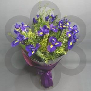 Превью Букет из 15 ирисов