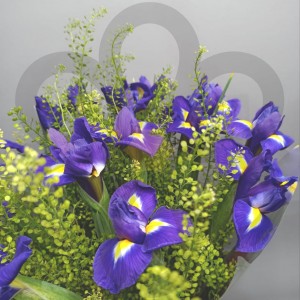 Превью Букет из 15 ирисов