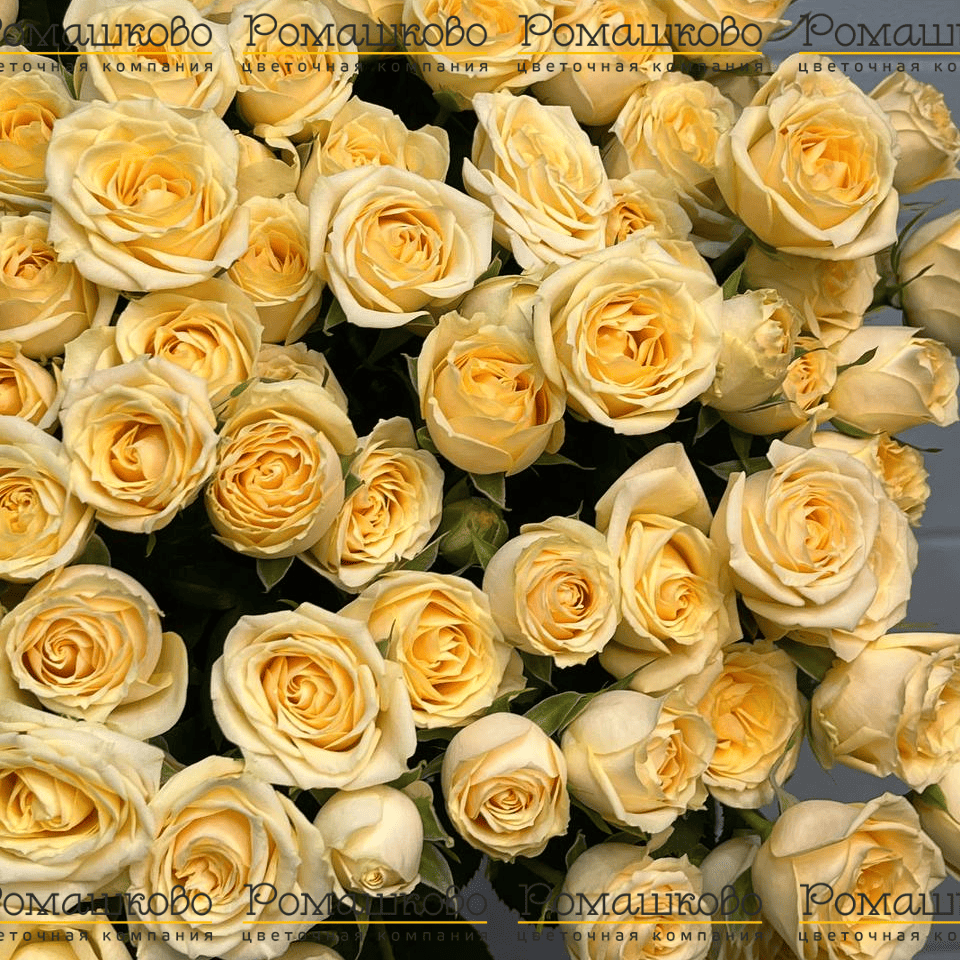 Букет из 39 чудесных кустовых роз