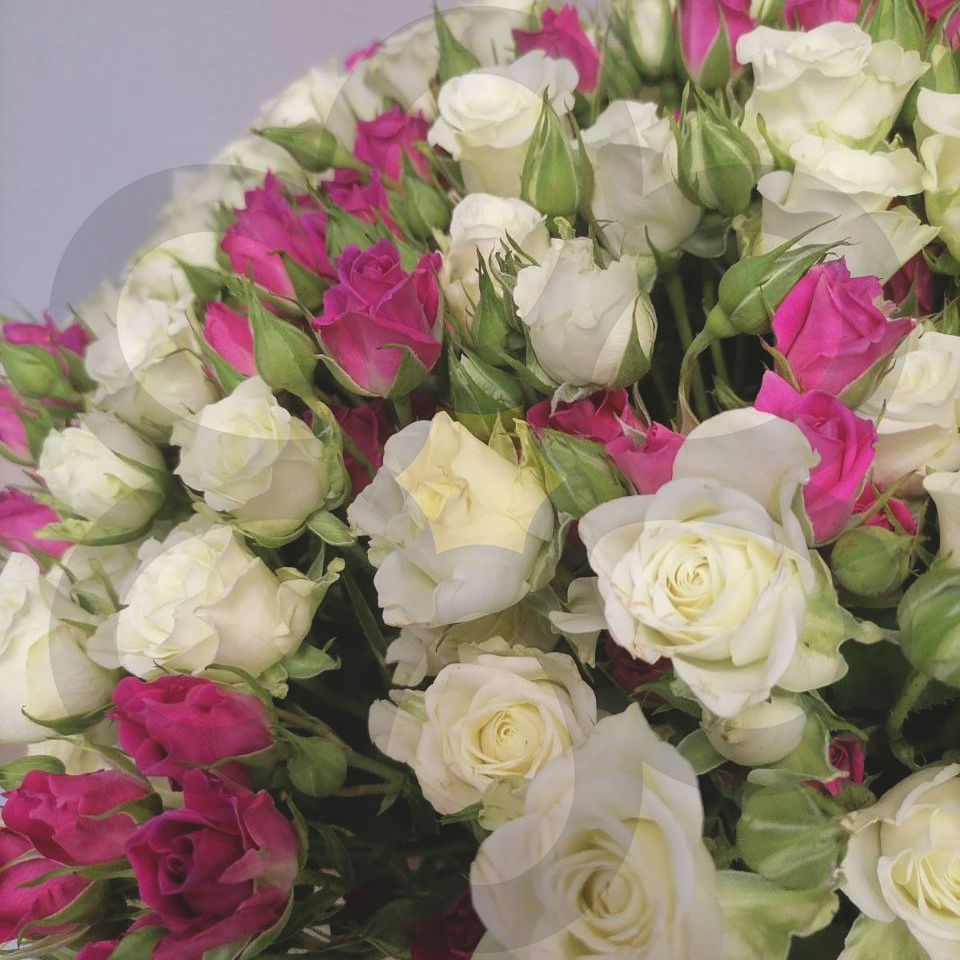 Букет из 39 чудесных кустовых роз