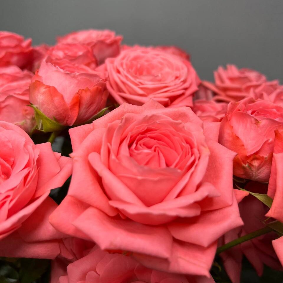 Букет из 7 красивых кустовых роз