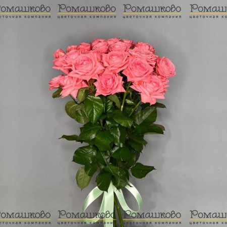 Букет из 7 красивых кустовых роз за 3 720 - «Ромашково» в Красноярске
