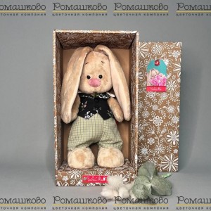 Превью Зайка Ми в жилете и штанишках в клетку