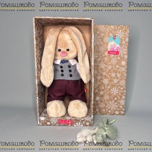 Превью Зайка Ми в костюме