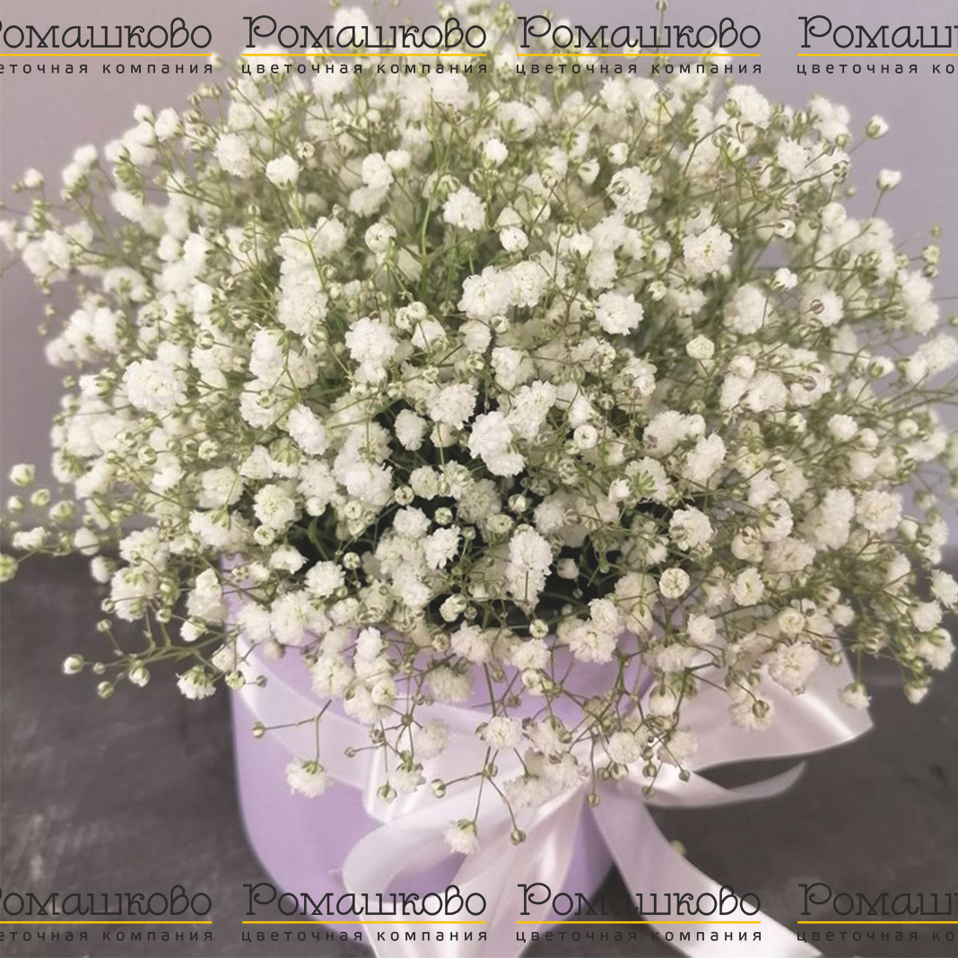 Беззаботная юность