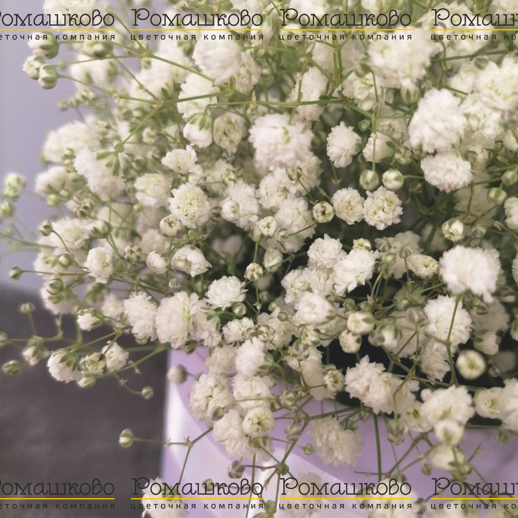 Беззаботная юность