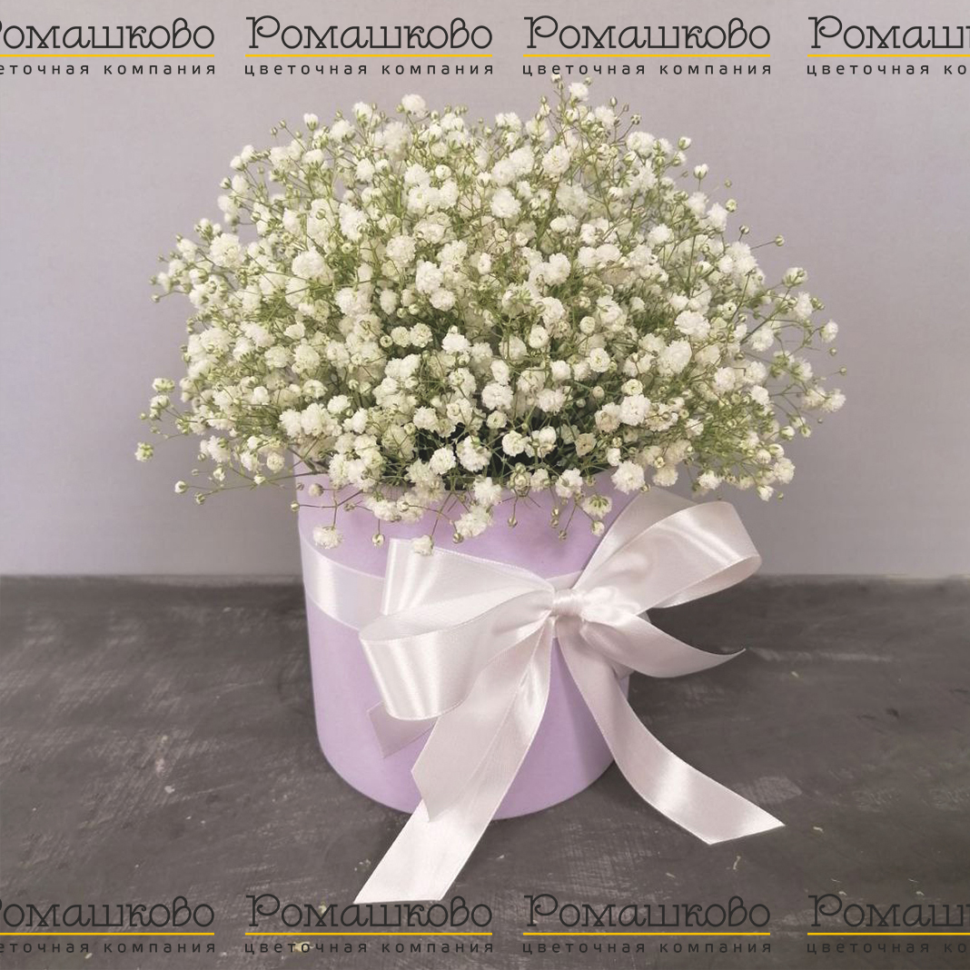 Беззаботная юность