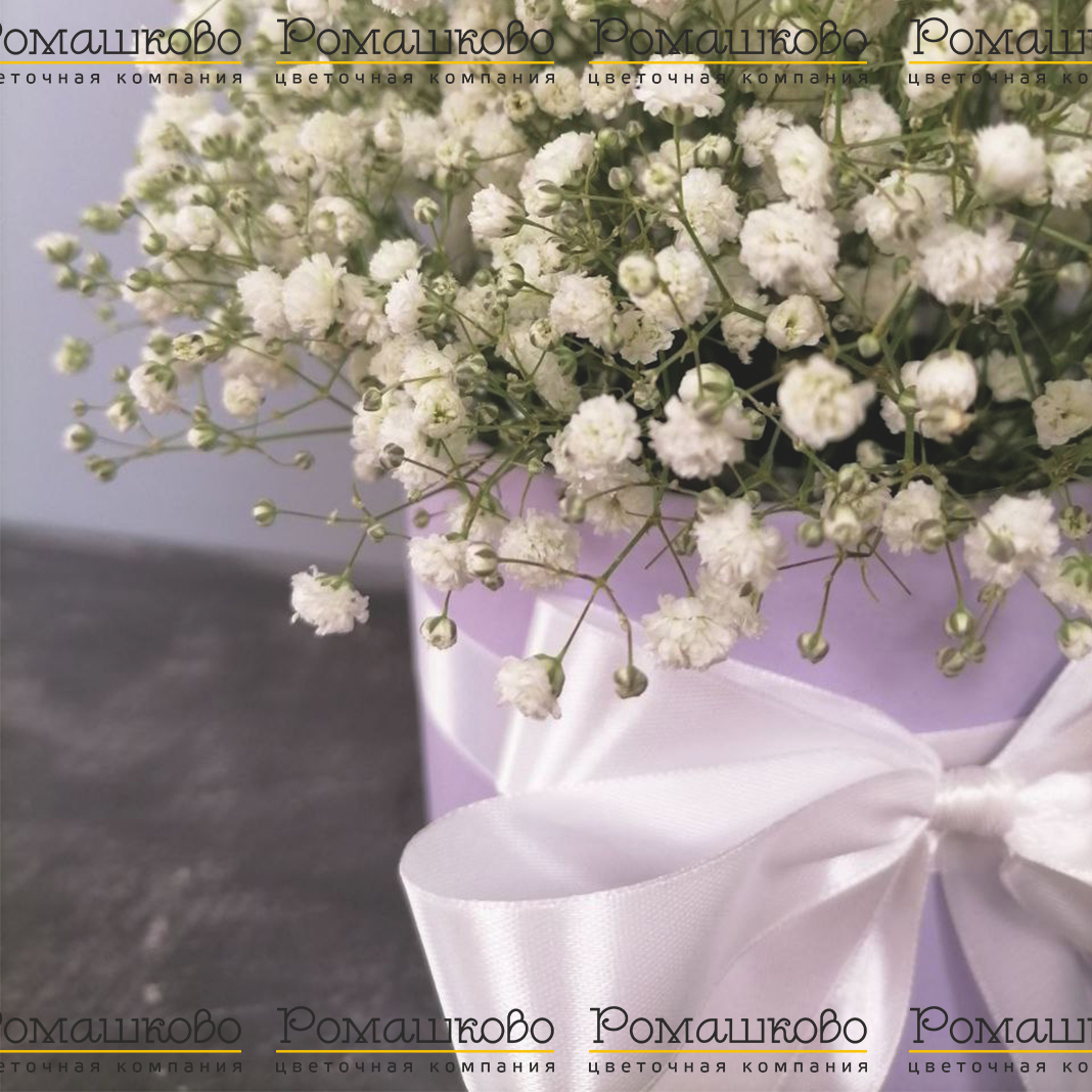 Беззаботная юность