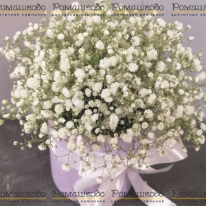 Превью Беззаботная юность