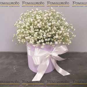 Превью Беззаботная юность