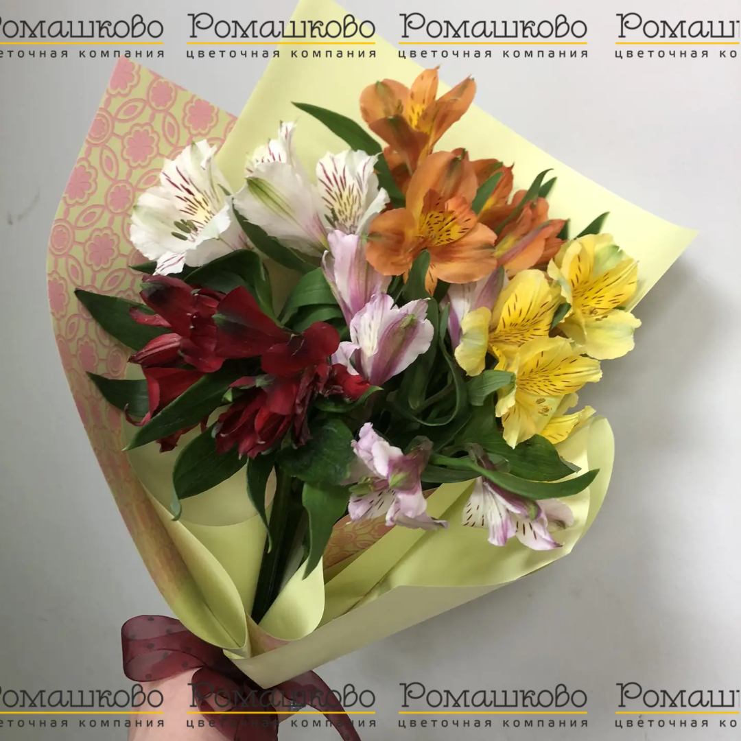 Букет мини из альстромерий «Мадемуазель»