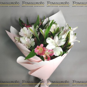 Превью Букет мини из альстромерий «Мадемуазель»
