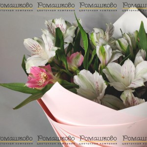 Превью Букет мини из альстромерий «Мадемуазель»