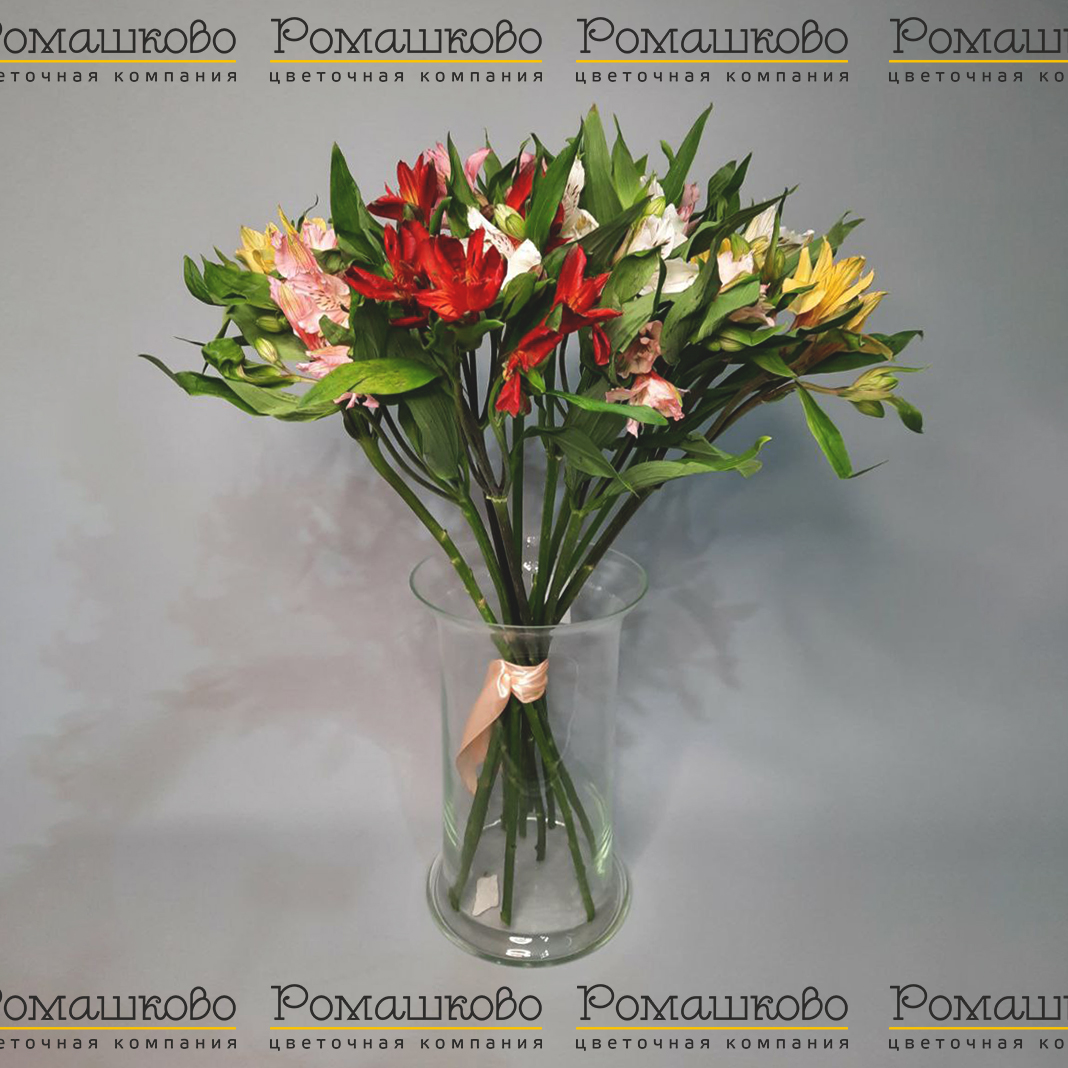 Альстромерия 11 шт (80см)