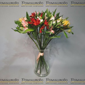 Превью Альстромерия 11 шт (80см)