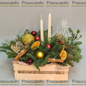 Превью Новогодняя композиции с апельсинами