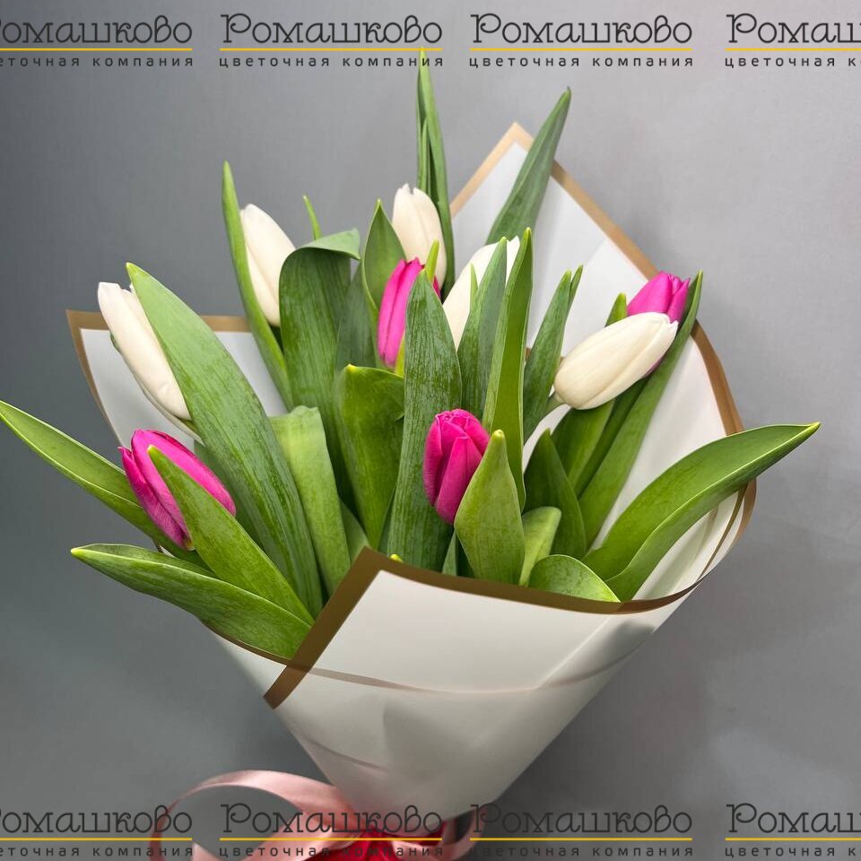 Букет из тюльпанов «Робкое обожание»