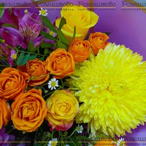 Превью Букет из хризантем 