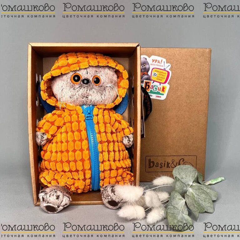 Кот Басик в комбинезоне Дракончик