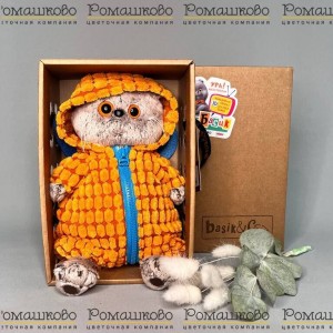 Превью Кот Басик в комбинезоне Дракончик