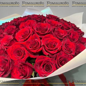 Превью Букет из 51 розы в упаковке (50см)
