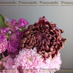 Превью Букет из хризантем «Черничное настроение»