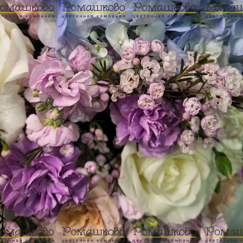 Букет из гортензий «Сахарная вата»